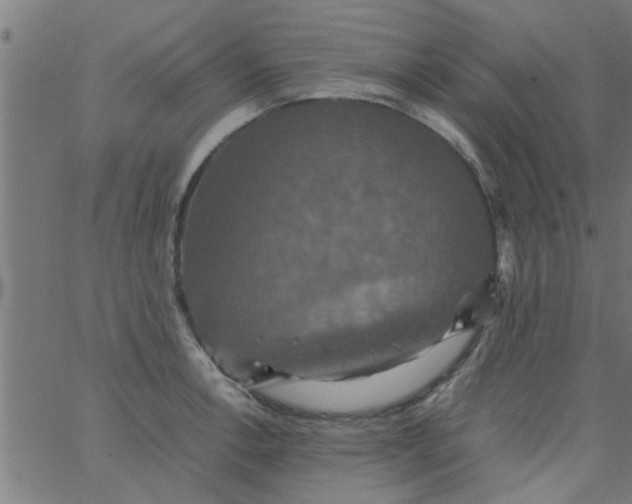 X0000066541138200603311838