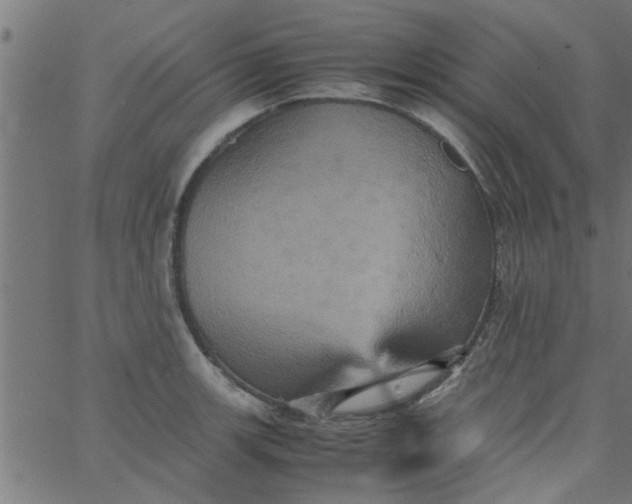 X0000066541139200603311838