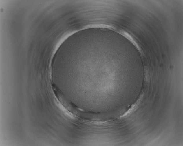 X0000066541140200603311838