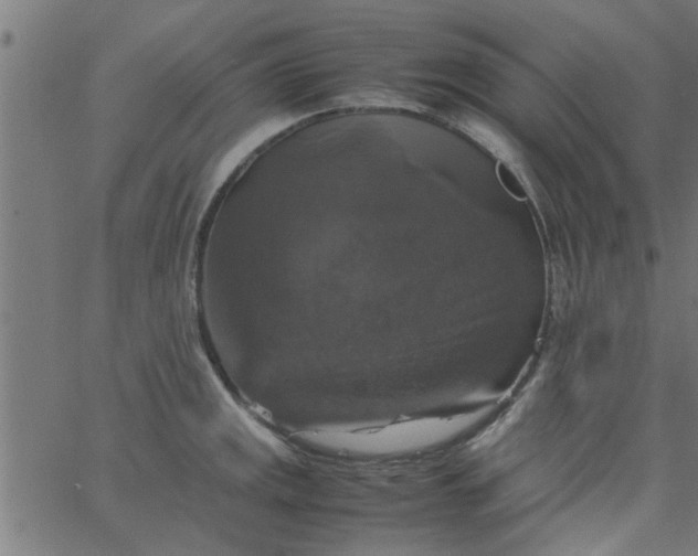 X0000066541141200603311838