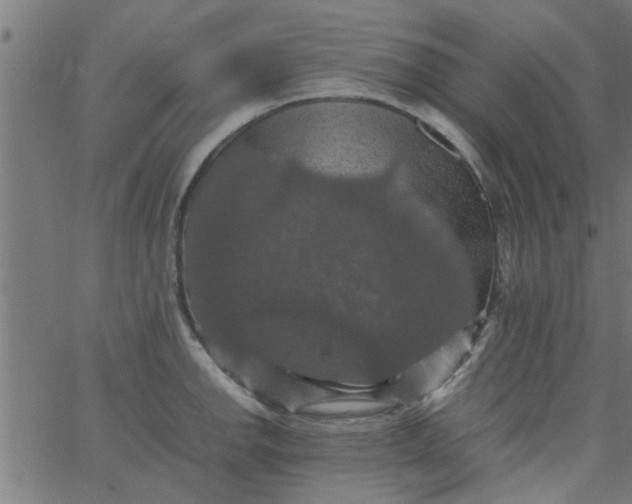 X0000066541142200603311838