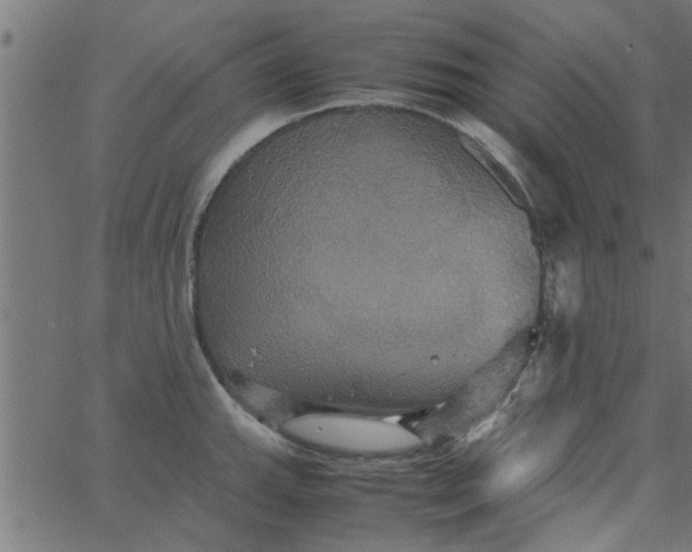 X0000066541143200603311838