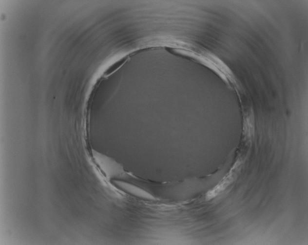 X0000066541144200603311838