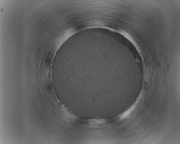 X0000066541145200603311838