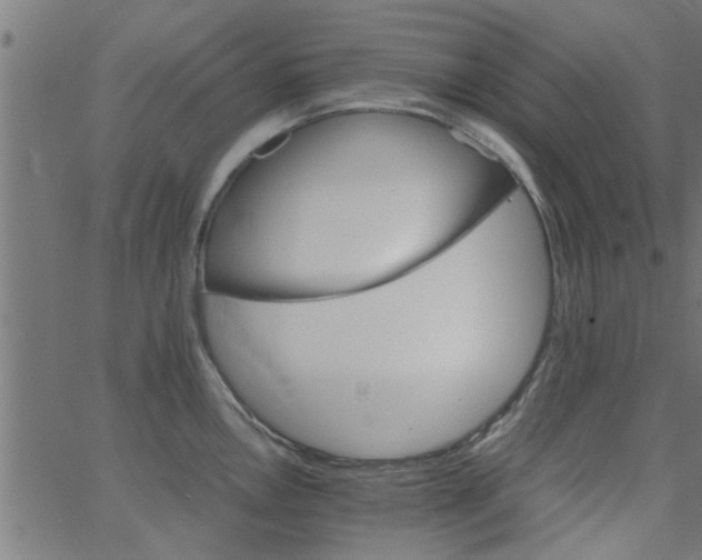 X0000066541146200603311838