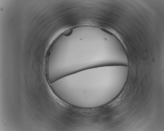 X0000066541147200603311838