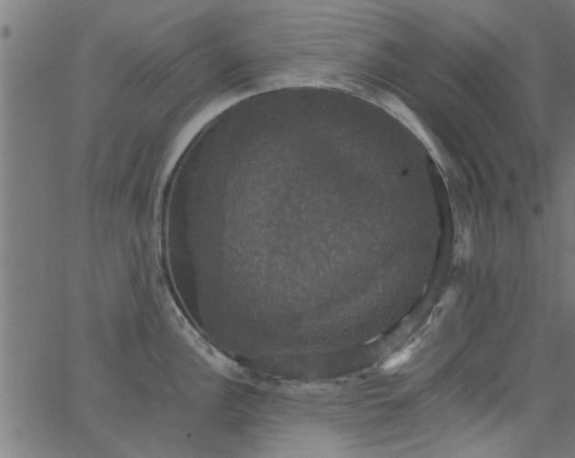 X0000066541148200603311838