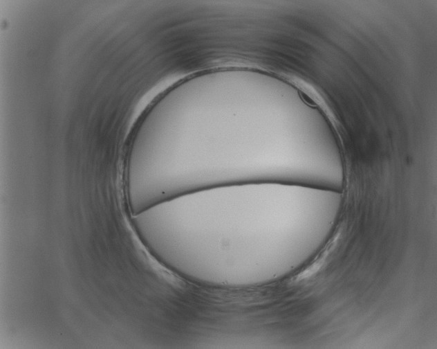 X0000066541149200603311838