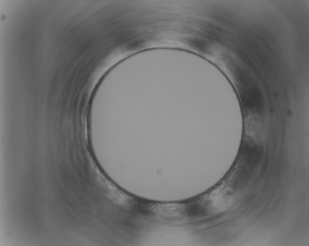 X0000066541150200603311838