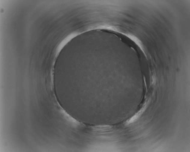 X0000066541151200603311839