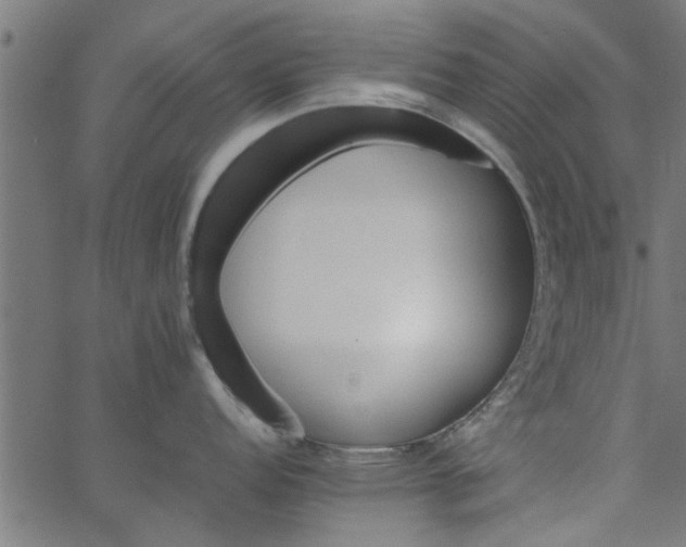 X0000066541152200603311839