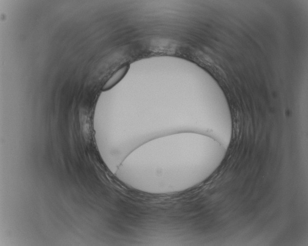 X0000066541154200603311838