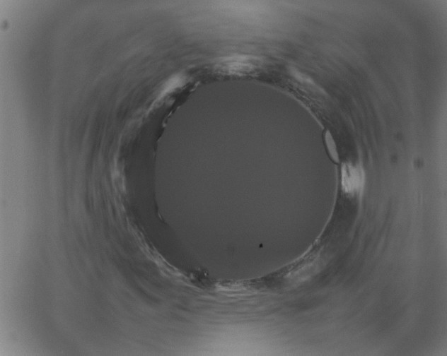 X0000066541155200603311838