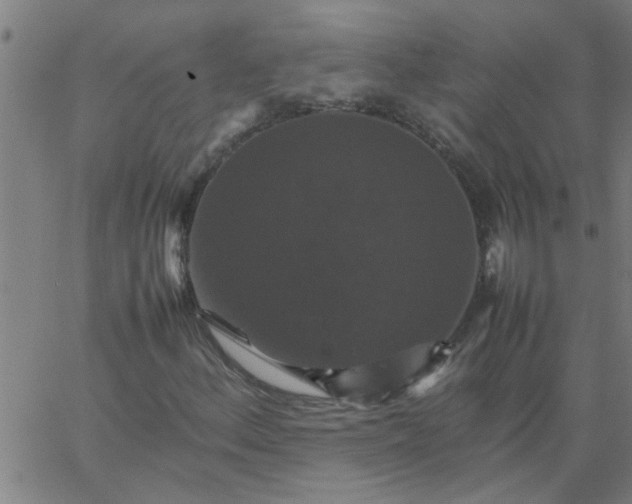 X0000066541156200603311838