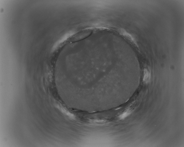 X0000066541159200603311838