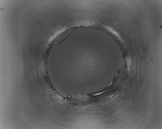 X0000066541160200603311838