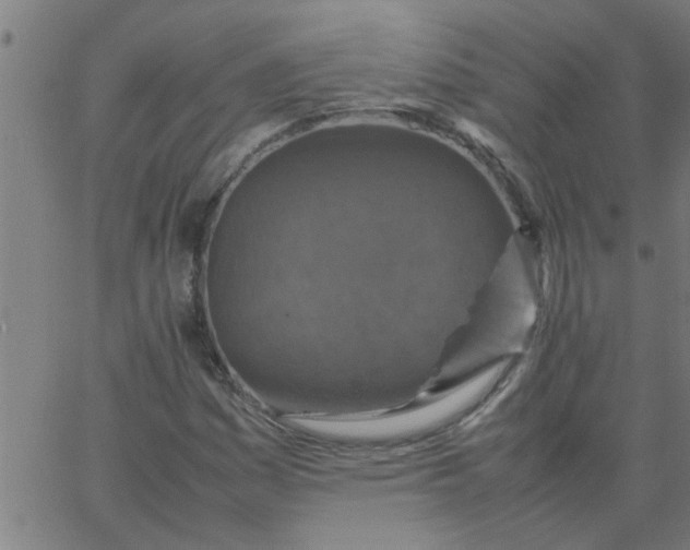 X0000066541161200603311838