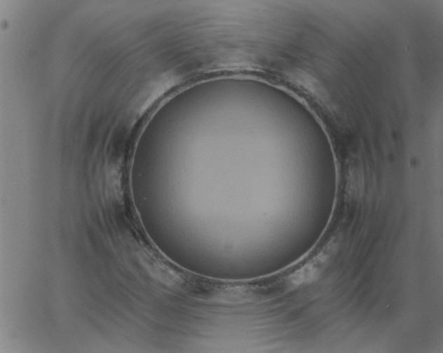 X0000066541162200603311838