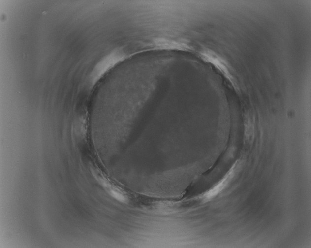 X0000066541163200603311838