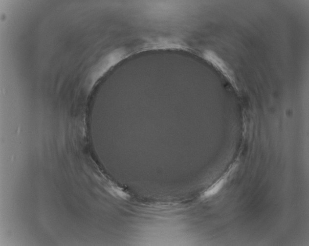 X0000066541165200603311838