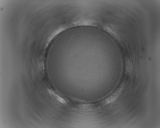 X0000066541166200603311838