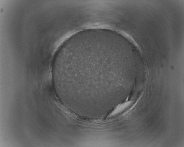 X0000066541167200603311838