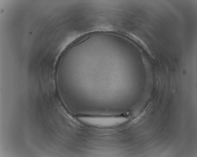 X0000066541168200603311838