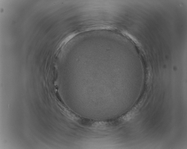 X0000066541169200603311838