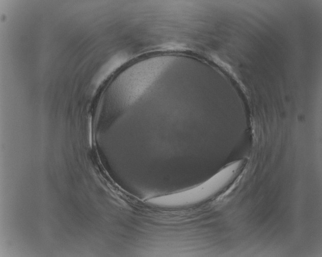 X0000066541171200603311837