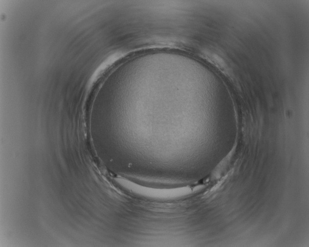 X0000066541172200603311837