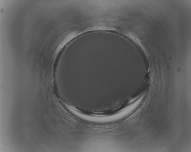 X0000066541173200603311837