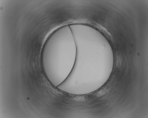 X0000066541174200603311837