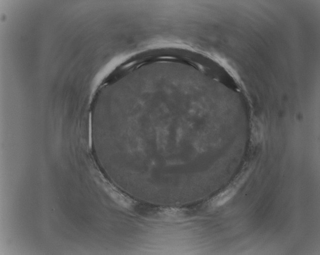 X0000066541175200603311837