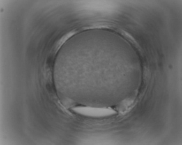 X0000066541177200603311837