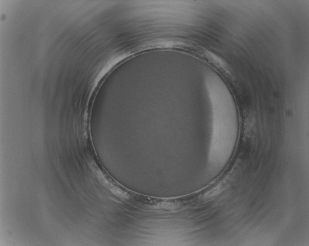 X0000066541178200603311837