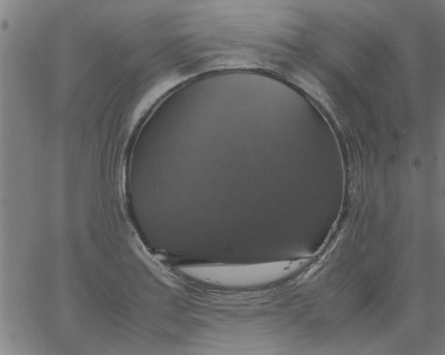 X0000066541179200603311837