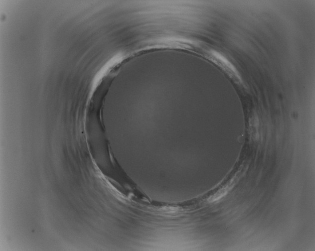 X0000066541180200603311837