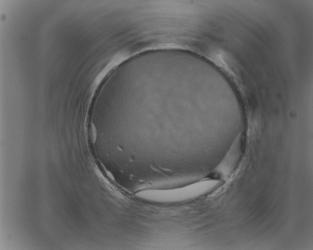 X0000066541181200603311837