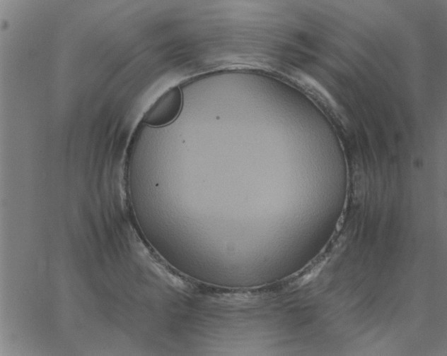 X0000066541182200603311837