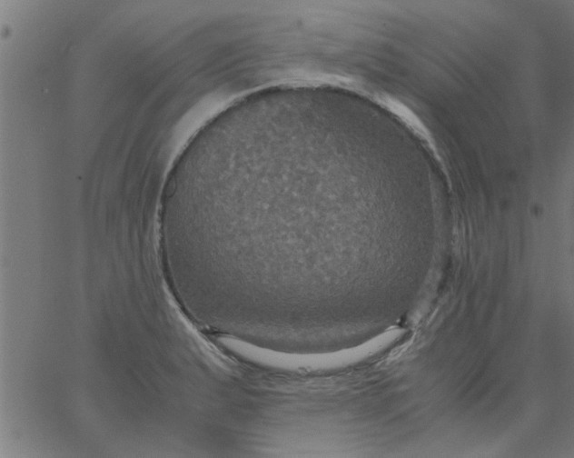 X0000066541183200603311837