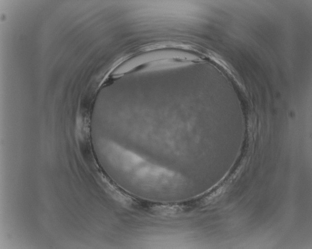 X0000066541185200603311837