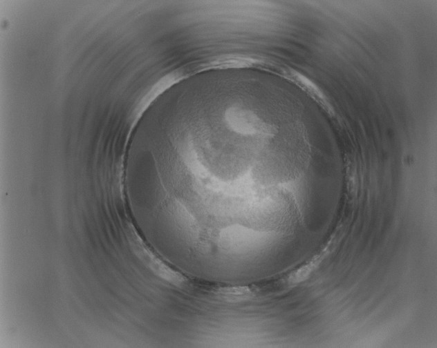 X0000066541186200603311837