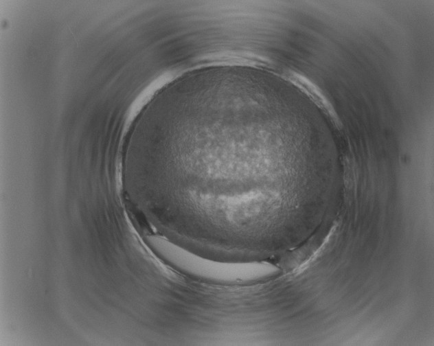 X0000066541188200603311837