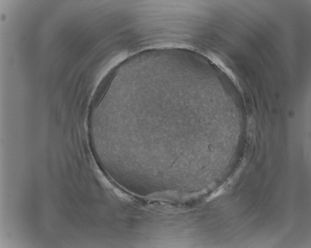 X0000066541189200603311837