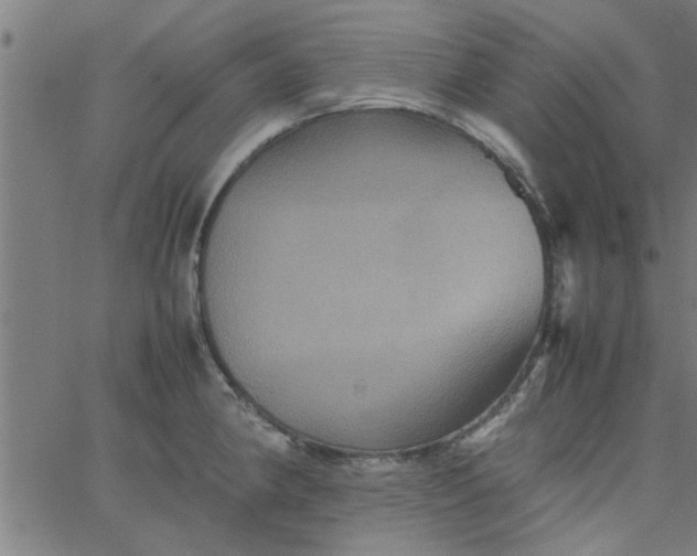 X0000066541190200603311837