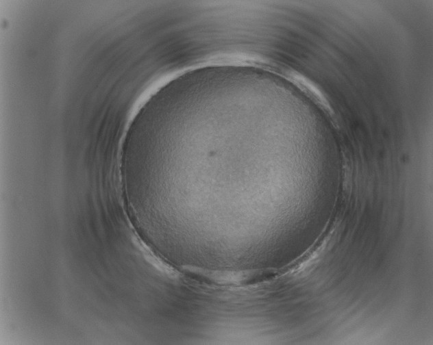 X0000066541192200603311837