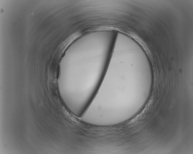 X0000066541193200603311837