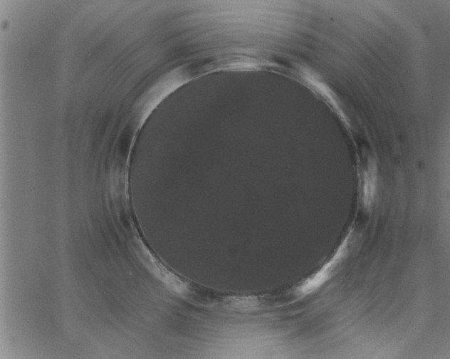 X0000066541194200603311837