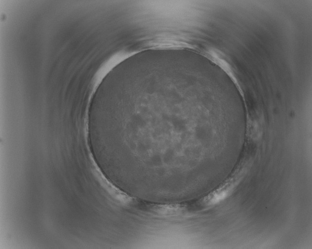 X0000066541195200603311837