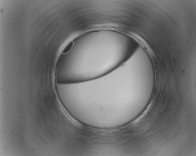 X0000066541196200603311837